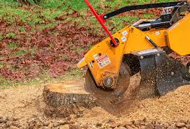 How Our Tree Care Process Works  in  Palmview, TX